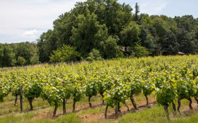 Le Frontonnais, partenaire de la Fabrique des Transitions