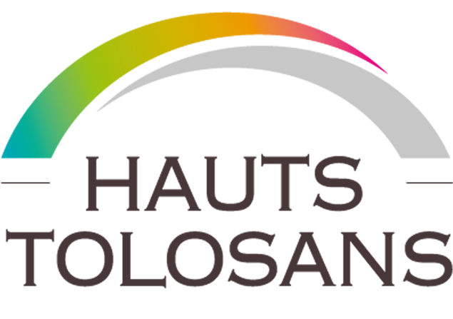Logo Communauté de Communes Le Frontonnais